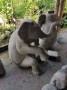 IMG-20180427-WA0045[1]